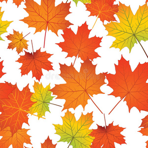十一月 公司 十月 森林 插图 树叶 季节 植物学 公园
