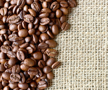 形象 农业 作物 分支 植物 边境 浓缩咖啡 颗粒