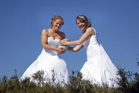 新娘 波特拉 幸福 连衣裙 结婚 美丽的 承诺 合伙人 感情