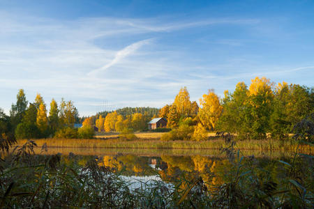 郁郁葱葱 公园 植物 乡村 秋天 森林 十月 美丽的 早晨