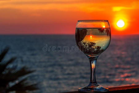 玻璃 自然 天空 棕榈 聚会 海洋 太阳 夏天 美丽的 浪漫的
