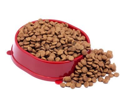棕色干猫或狗粮在红色碗隔离在白色背景