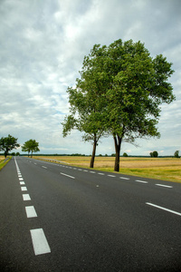 道路。