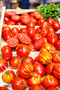 来自普罗旺斯地中海农贸市场的有机西红柿，