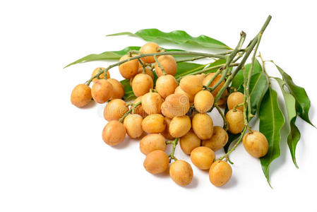 黄皮水果图片-黄皮水果素材-黄皮水果插画-摄图新视界