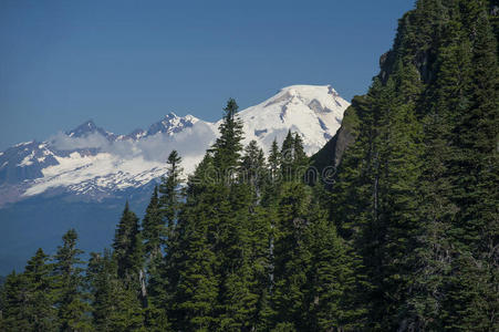 风景 森林 阿尔卑斯山 面包师 太平洋 追踪 级联 西北