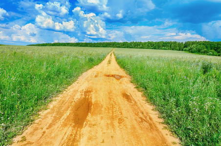 田间有黑麦和道路。