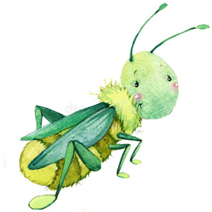 卡通昆虫蝗虫水彩插图。