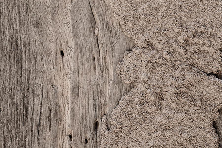自然 松木 木工 胶合板 书桌 苏尔 镶木地板 地板 硬木