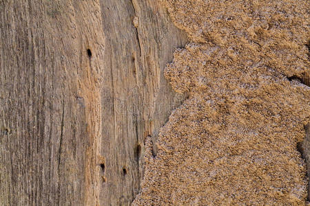 地板 样品 面板 粮食 木工 胶合板 苏尔 木板 材料 镶木地板