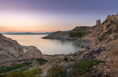 文件 紫色 科塞 被遗弃的 海岸 地中海 科西嘉岛 欧洲