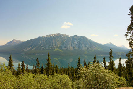 反思 阿拉斯加 美丽的 天空 风景 高峰 阿尔卑斯山 松树