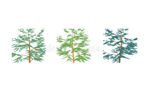 不同颜色的树在平面设计上隔离在白色上