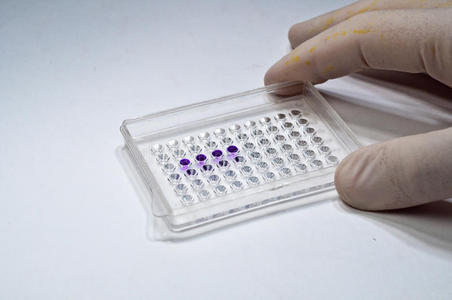 方法 实验室 装置 工具 质量 玻璃 生物学 液体 教育