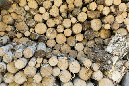 破裂 堆栈 山毛榉 松木 树桩 材料 建设 登录中 产品