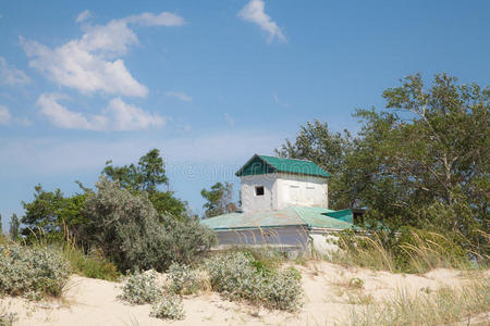 灌木 美丽的 海滩 古老的 地板 求助 窗口 夏天 建筑学