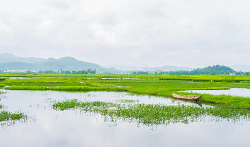 乡村景观