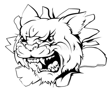 彪马猫图片-彪马猫素材-彪马猫插画-摄图新视界