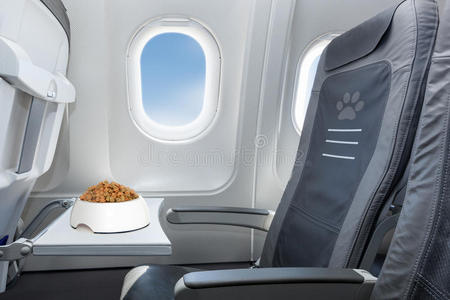 椅子 商业 到达 飞机 晚餐 乘客 教练 动物 有趣的 目的地