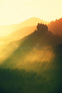 黎明 乡村 自然 外部 欧洲 小山 高峰 阻碍 飞机 类风湿关节炎