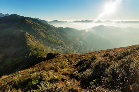 灌木 太阳 喀拉拉邦 阳光 高地 美丽的 蒙纳 自然 旅游业