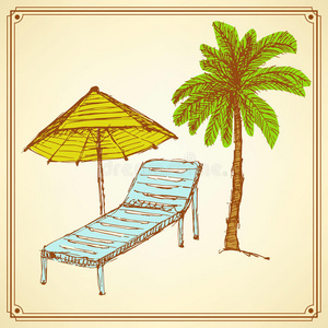 森林 棕榈 休息室 安慰 躺椅 椰子 植物区系 椅子 环境