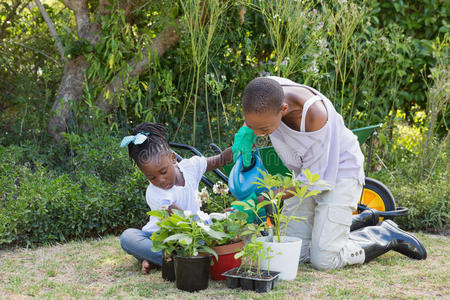 乐趣 后院 起源 植物 小孩 感情 中间 女儿 成人 自然