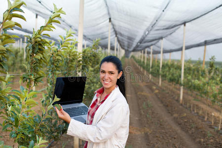 笔记本电脑 苹果 女孩 农事 计算机 面对 农学家 白种人