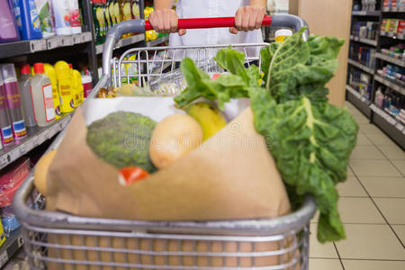 超市 蔬菜 杂货店 服装 购物 闲暇 活动 市场 手推车