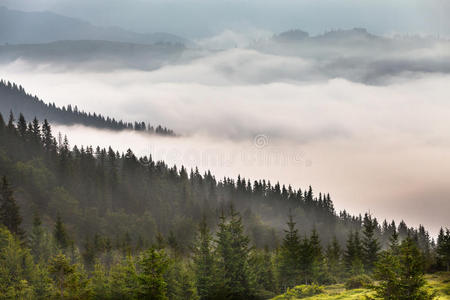 神奇的雾山景观