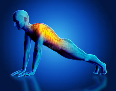 三维男性医学人物与脊柱突出在瑜伽姿势