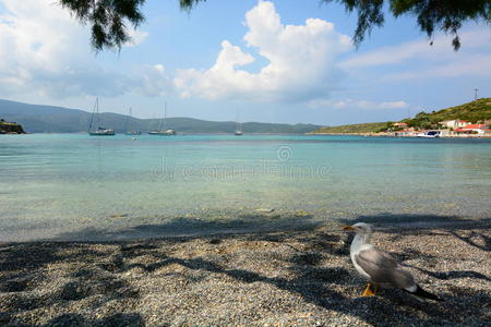 假期 地中海 欧洲 假日 希腊语 海滩 十二烷 美丽的 爱琴海