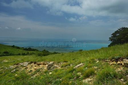 夏季景观