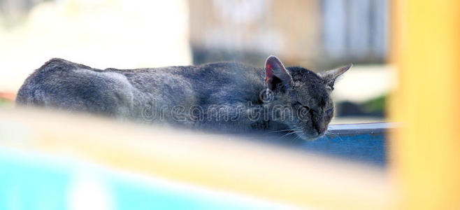 lando柔和的demand需要英文字母表的第19个字母水藻海滩sociede