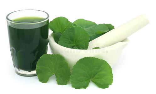 托盘上有新鲜的科拉植物印度次大陆的药用叶雷公根数字剪贴簿字母杂耍