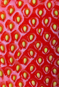 草莓背景