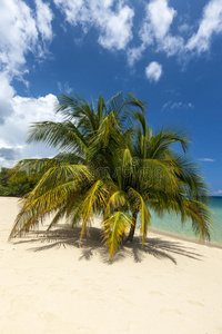 热带岛屿上的海滩。 清澈的蓝色水，沙子