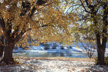 自然 公园 白霜 美女 寒冷的 奥地利 秋天 小巷 风景