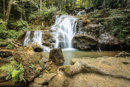 国家的 森林 塔克 清爽 树叶 级联 岩石 风景 世界 索特