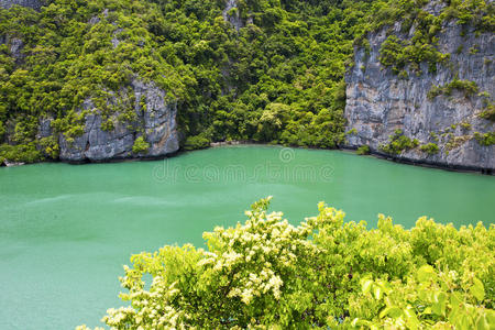 小山 南方 植物 夏天 亚洲 旅游业 海岸线 液体 纹理