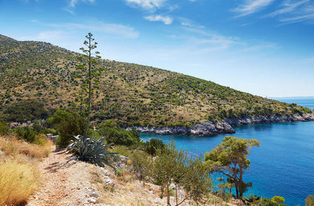 天堂 海滩 克罗地亚语 美丽的 绿松石 地中海 夏天 目的地