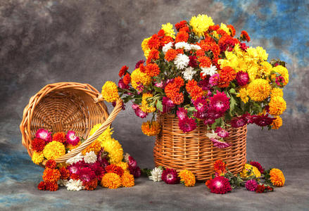 秋天的静物画。花卉水果和蔬菜