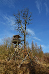 欧洲 小屋 场景 国家 乡村 飞机 风景 猎人 狩猎 梯子