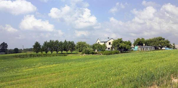 田野和天空夏季景观