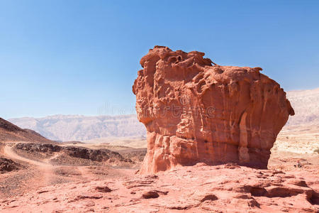 以色列 内盖夫 沙漠 旅行 公园 有趣的 岩石 热的 蒂姆纳