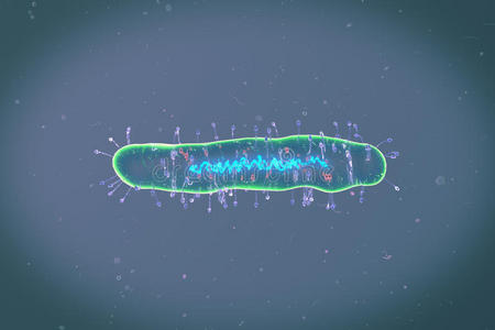 医学 微生物 细胞 胚胎 克隆 生物学 染色体 划分 基因