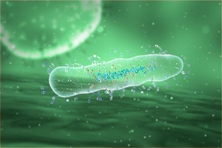 细胞 生活 微生物 生物学 实验室 基因 划分 感染 人类