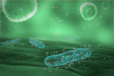 胚胎 癌症 人类 遗传学 染色体 微生物 基因 实验室 健康