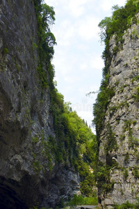 在高山上