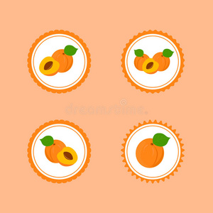 设计贴纸与成熟美味的杏。